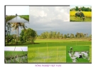 Bài giảng Kinh tế phát triển: Chương 4 - TS. Lê Ngọc Uyên