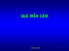Bài giảng Quá mẫn cảm