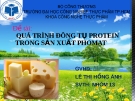 Bài thuyết trình: Quá trình đông tụ protein trong sản xuất phomat