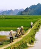 Khóa luận: Hiện trạng sử dụng đất nông nghiệp ở Nghĩa Đàn