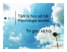 Thuyết trình Tâm lý học xã hội: Tri giác xã hội