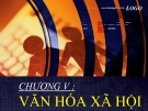 Bài giảng Xã hội học: Chương V