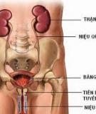Bài giảng Nhiễm trùng tiểu trẻ em