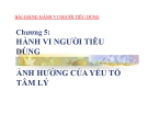 Bài giảng Hành vi người tiêu dùng: Chương 5