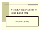 Bài giảng Viêm tủy răng và bệnh lý vùng quanh chóp - ThS. Nguyễn Ngọc Thúy
