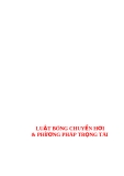 Luật bóng chuyền hơi & phương pháp trọng tài