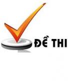 Đề thi học kỳ 1 môn Toán Lớp 10 Năm học 2010 - 2011