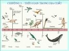 Bài giảng Địa chất đại cương: Chương 3 - Thời gian trong địa chất