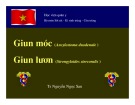 Bài giảng môn Sốt rét - Kí sinh trùng và côn trùng: Giun móc, giun lươn - TS. Nguyễn Ngọc San (Học viện quân y)