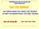 Bài thuyết trình Báo cáo: Sự thích nghi của thực vật ôn đới và một số nhóm thực vật đặc trưng