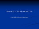 Bài giảng Tổng quan về X quang phổi qui ước