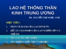 Bài giảng Lao hệ thống thần kinh trung ương - BS. Nguyễn Thị Ngọc Anh
