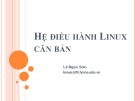 Bài giảng Hệ điều hành Linux căn bản: Chương 1 - Lê Ngọc Sơn