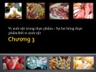 Bài giảng Vi sinh thực phẩm: Chương 3 - Nguyễn Minh Hiền