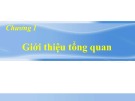 Bài giảng Maple - Lập trình tính toán: Chương 1 - Giới thiệu tổng quan