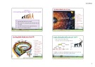 Bài giảng Con người và môi trường: Chương 1 - TS. Nguyễn Thị Ngọc Quỳnh