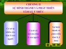 Bài giảng Tâm lý học - Chương 2: Sự hình thành và phát triển của tâm lý, ý thức (p3)