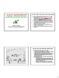 Bài giảng Chỉ thị sinh học môi trường: Chỉ thị sinh học môi trường nước (Phần 3) - GS.TS. Nguyễn Thế Nhã