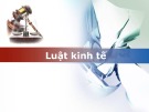Bài giảng Luật kinh tế - Chương 1: Tổng quan về pháp luật kinh tế