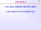 Bài giảng Vi sinh vật thực phẩm - Chương 4: Các quá trình chuyển hóa vật chất của vi sinh vật