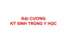 Bài giảng Đại cương ký sinh trùng y học