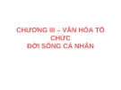 Bài giảng Cơ sở văn hóa Việt Nam - Chương 3: Văn hóa tổ chức đời sống cá nhân