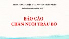 Bài thuyết trình: Các giải pháp giải quyết thức ăn cho gia súc nhai lại ở huyện Tịnh Biên