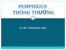 Bài giảng Pemphigus thông thường - TS. BS. Trần Ngọc Ánh