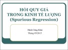 Bài giảng Hồi quy giả trong kinh tế lượng (Spurious Regression) - Đinh Công Khải