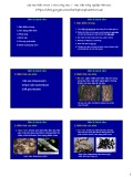 Bài giảng Bệnh cây đại cương: Bài 4 - Học viện Nông nghiệp Việt Nam