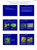 Bài giảng Bệnh cây đại cương: Bài 7 - Học viện Nông nghiệp Việt Nam