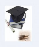 Luận án: Nghiên cứu ảnh hưởng của truyền thông tiếp thị đến các thành phần giá trị thương hiệu nước giải khát tại Việt Nam