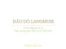 Bài thuyết trình Đầu dò Langmuir