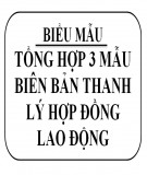 Tổng hợp 3 mẫu biên bản thanh lý hợp đồng lao động