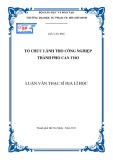 Luận văn Thạc sĩ Địa lí học: Tổ chức lãnh thổ công nghiệp thành phố Cần Thơ