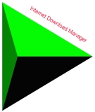 Thay đổi giao diện phần mềm Download IDM