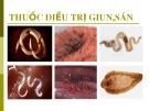 Thuốc điều trị giun,sán