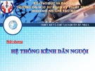 Bài giảng Thiết kế và chế tạo khuôn ép nhựa: Hệ thống kênh dẫn nguội
