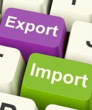 Tài liệu hướng dẫn ôn tập và kiểm tra môn học Pháp luật Xuất nhập khẩu