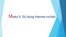 Bài giảng Tin học cơ bản: Modul 3 - Võ Minh Đức