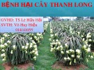 Báo cáo: Bệnh hại cây thanh long