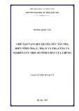 Luận án Tiến sĩ Vật lý: Chế tạo vật liệu quang xúc tác TiO2 biến tính (TiO2:V, TiO2:N và TiO2-CNTs) và nghiên cứu một số tính chất của chúng