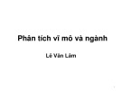 Bài giảng Phân tích và đầu tư chứng khoán: Phân tích vĩ mô và ngành - Lê Văn Lâm
