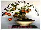 Bài giảng Mỹ thuật - Bài 32: Vẽ trang trí - Tạo dáng và trang trí chậu cảnh