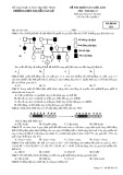 Đề thi khảo sát giữa HK 2 môn Sinh học lớp 12 - THPT Nguyễn Văn Cừ - Mã đề 024