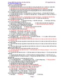 Đề cương ôn tập HK 2 môn Sinh lớp 11 năm 2017-2018 - THPT Phan Bội Châu