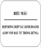 Hợp đồng hợp tác kinh doanh (Góp vốn đầu tư trồng rừng)