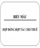 Hợp đồng hợp tác cho thuê