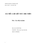 Tiểu luận Giao tiếp sư phạm