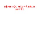 Bài giảng Bệnh học máu và bạch huyết